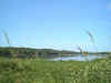 Pike Lake Wetlands.  Beach Can Be Seen In Distance.